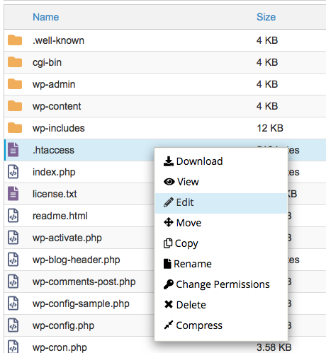 cPanel File Manager Page