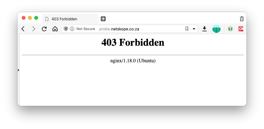 Perintah Dasar Linux dan Fungsinya nginx error 403 by epadi